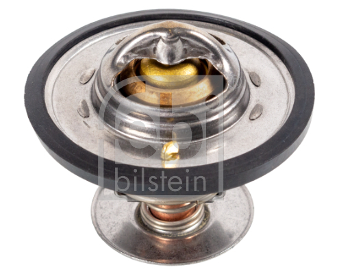 Termostat lichid racire