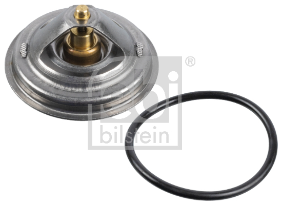 Termostat lichid racire