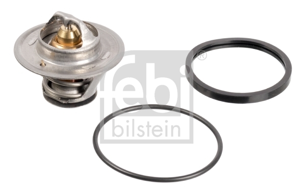 Termostat lichid racire
