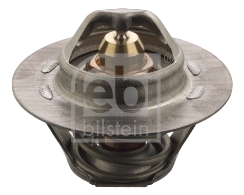 Termostat lichid racire