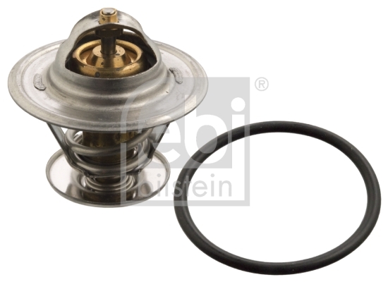 Termostat lichid racire