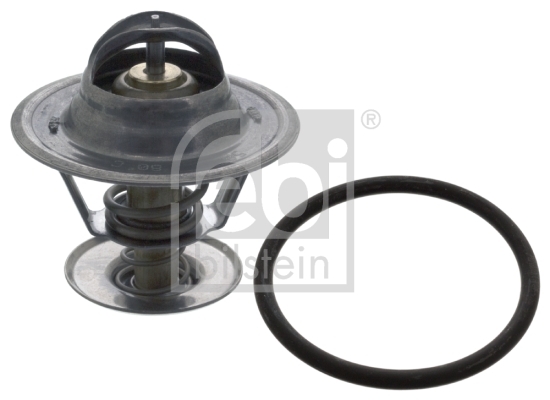 Termostat lichid racire