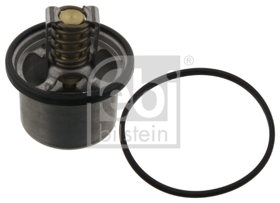 Termostat lichid racire