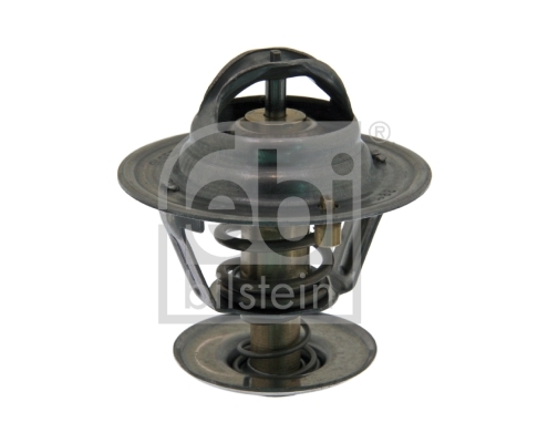 Termostat lichid racire