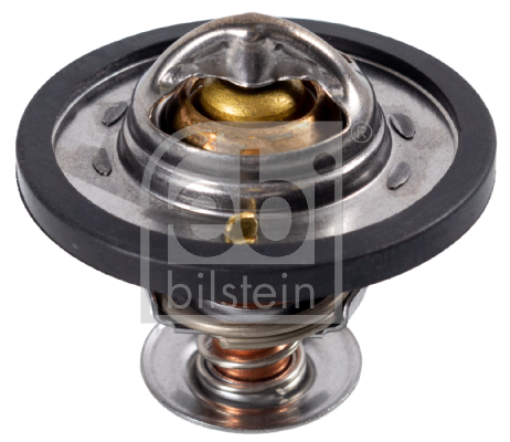 Termostat lichid racire