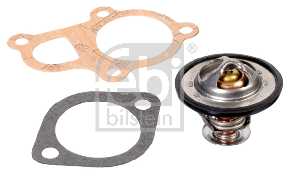 Termostat lichid racire