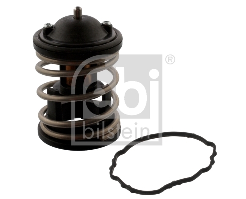 Termostat lichid racire