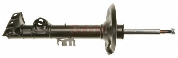 Amortizor