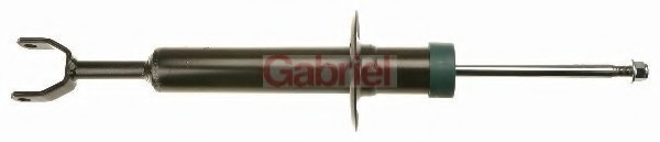 Amortizor
