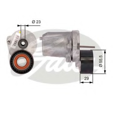 Intinzator curea curea distributie