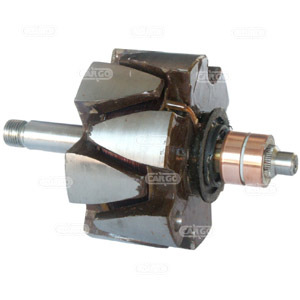 Rotor alternator