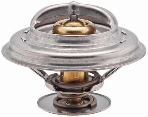 Termostat lichid racire