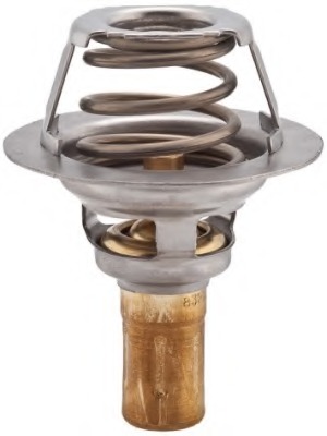 Termostat lichid racire