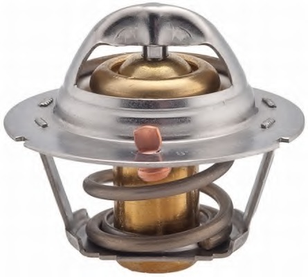 Termostat lichid racire
