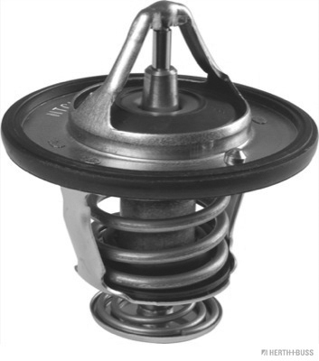 Termostat lichid racire