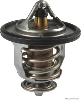 Termostat lichid racire