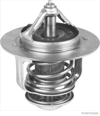 Termostat lichid racire