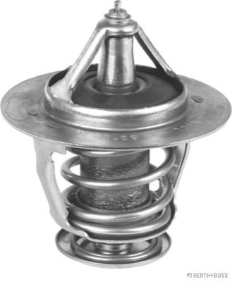 Termostat lichid racire