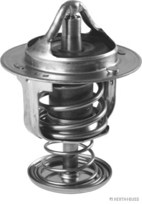 Termostat lichid racire