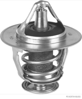 Termostat lichid racire