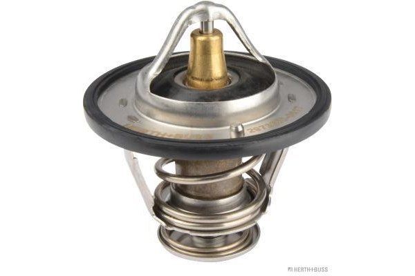 Termostat lichid racire