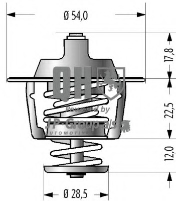Termostat lichid racire