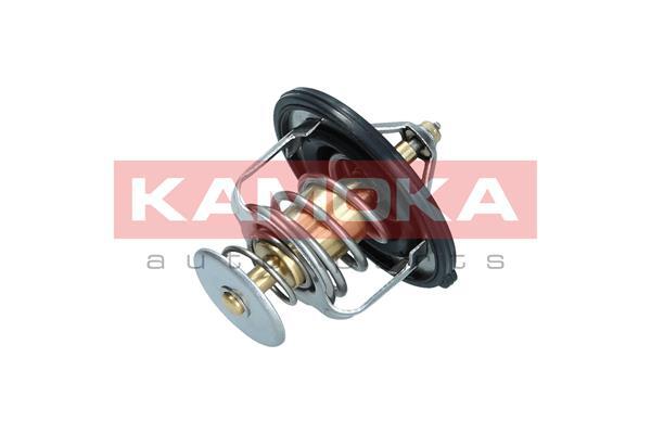 Termostat lichid racire