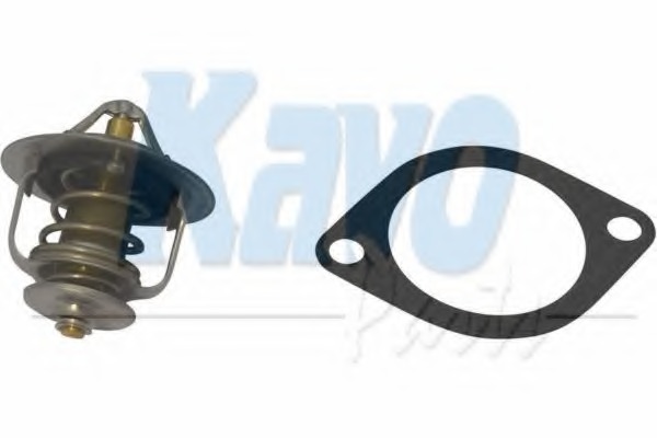 Termostat lichid racire