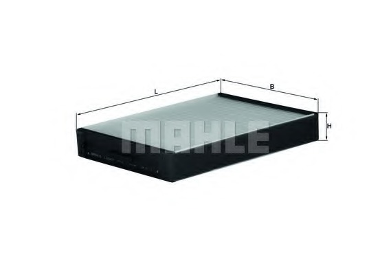 Filtru polen