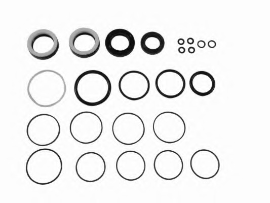 Set garnituri caracsa directie
