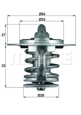 Termostat lichid racire
