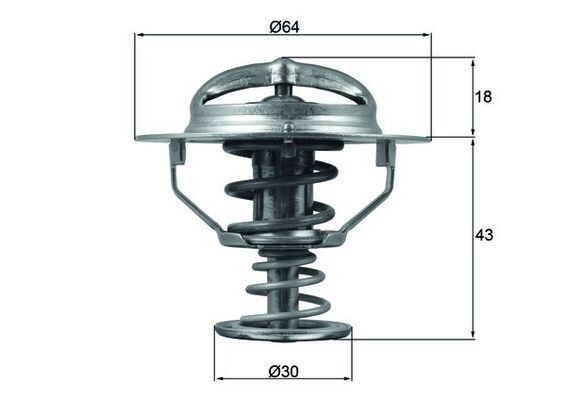 Termostat lichid racire
