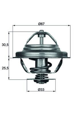 Termostat lichid racire