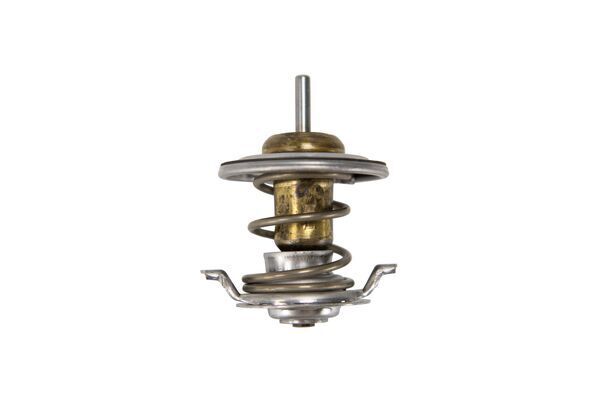 Termostat lichid racire