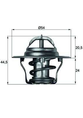 Termostat lichid racire