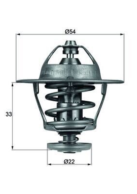 Termostat lichid racire
