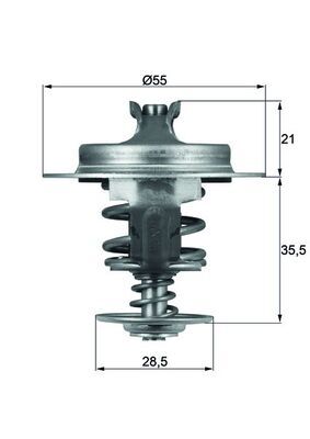 Termostat lichid racire