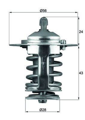 Termostat lichid racire