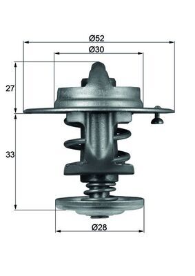 Termostat lichid racire