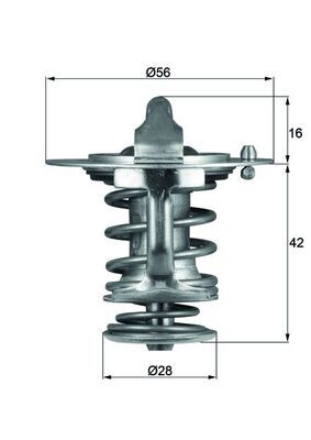 Termostat lichid racire