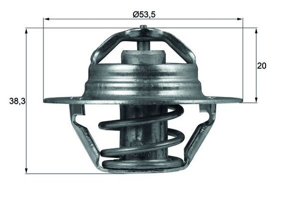 Termostat lichid racire