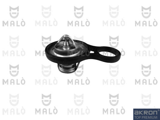 Termostat lichid racire