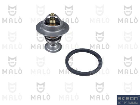 Termostat lichid racire