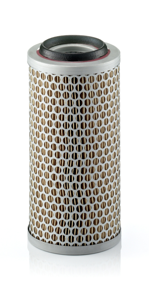 Filtru aer c1176/3