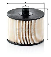 Filtru combustibil