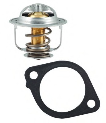 Termostat lichid racire