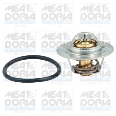 Termostat lichid racire