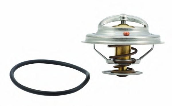 Termostat lichid racire