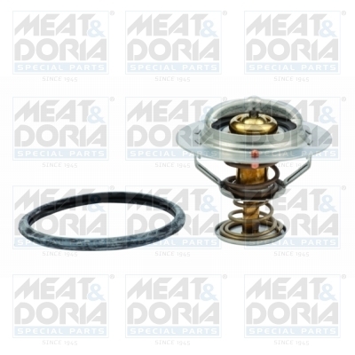 Termostat lichid racire