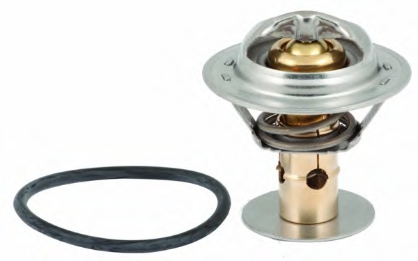 Termostat lichid racire